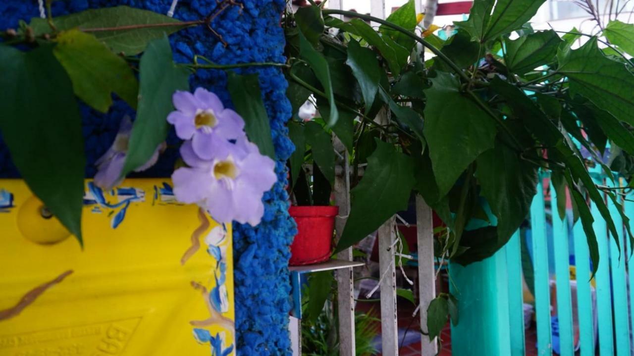 Hostel Tropico De Capricornio - Itagua อูบาตูบา ภายนอก รูปภาพ